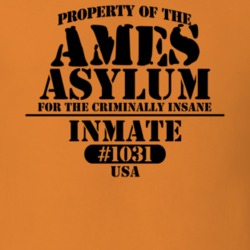 Ames Montgomery County New York State Prison Insane Asylum T Shirt 5361251