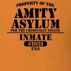 Amity Allegany County New York State Prison Insane Asylum T Shirt 5361253