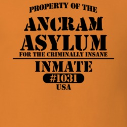 Ancram Columbia County New York State Prison Insane Asylum T Shirt 5361256