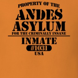 Andes Delaware County New York State Prison Insane Asylum T Shirt 5361257