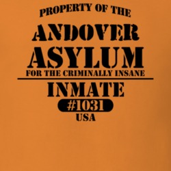 Andover Allegany County New York State Prison Insane Asylum T Shirt 5361258