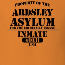 Ardsley Westchester County New York State Prison Insane Asylum T Shirt 5361265