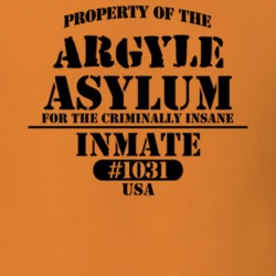 Argyle Washington County New York State Prison Insane Asylum T Shirt 5361266