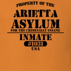 Arietta Hamilton County New York State Prison Insane Asylum T Shirt 5361267