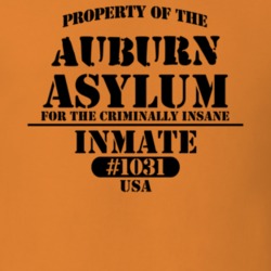 Auburn Cayuga County New York State Prison Insane Asylum T Shirt 5361278