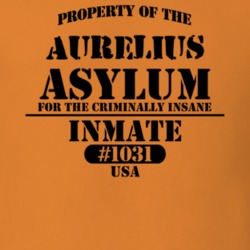Aurelius Cayuga County New York State Prison Insane Asylum T Shirt 5361280