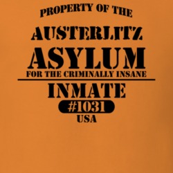 Austerlitz Columbia County New York State Prison Insane Asylum T Shirt 5361284