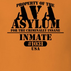 Ava Oneida County New York State Prison Insane Asylum T Shirt 5361285