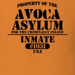 Avoca Steuben County New York State Prison Insane Asylum T Shirt 5361286