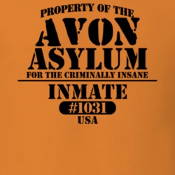 Avon Livingston County New York State Prison Insane Asylum T Shirt 5361287