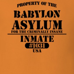 Babylon Suffolk County New York State Prison Insane Asylum T Shirt 5361288
