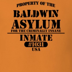 Baldwin Chemung County New York State Prison Insane Asylum T Shirt 5361290