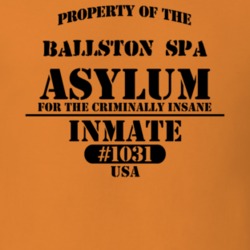 Ballston Spa Saratoga County New York State Prison Insane Asylum T Shirt 5361293