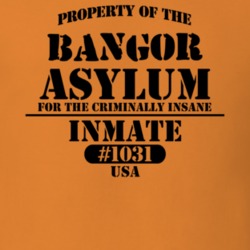 Bangor Franklin County New York State Prison Insane Asylum T Shirt 5361294