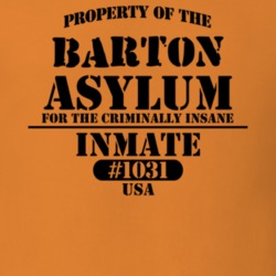 Barton Tioga County New York State Prison Insane Asylum T Shirt 5361300