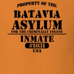 Batavia Genesee County New York State Prison Insane Asylum T Shirt 5361301