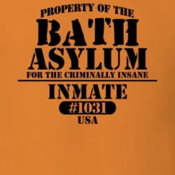 Bath Steuben County New York State Prison Insane Asylum T Shirt 5361302