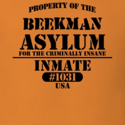 Beekman Dutchess County New York State Prison Insane Asylum T Shirt 5361307