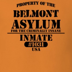Belmont Allegany County New York State Prison Insane Asylum T Shirt 5361314