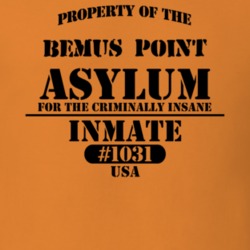 Bemus Point Chautauqua County New York State Prison Insane Asylum T Shirt 5361315