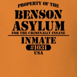 Benson Hamilton County New York State Prison Insane Asylum T Shirt 5361317