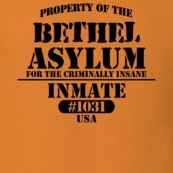 Bethel Sullivan County New York State Prison Insane Asylum T Shirt 5361324