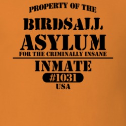Birdsall Allegany County New York State Prison Insane Asylum T Shirt 5361328