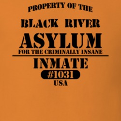 Black River Jefferson County New York State Prison Insane Asylum T Shirt 5361330