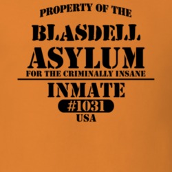 Blasdell Erie County New York State Prison Insane Asylum T Shirt 5361331