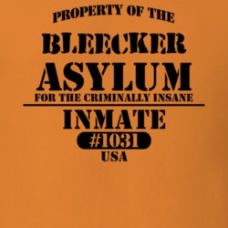 Bleecker Fulton County New York State Prison Insane Asylum T Shirt 5361332