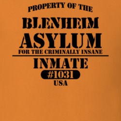 Blenheim Schoharie County New York State Prison Insane Asylum T Shirt 5361333