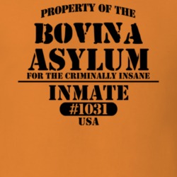 Bovina Delaware County New York State Prison Insane Asylum T Shirt 5361343