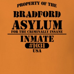 Bradford Steuben County New York State Prison Insane Asylum T Shirt 5361345