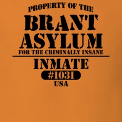 Brant Erie County New York State Prison Insane Asylum T Shirt 5361347