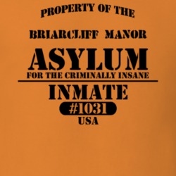 Briarcliff Manor Westchester County New York State Prison Insane Asylum T Shirt 5361350