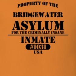 Bridgewater Oneida County New York State Prison Insane Asylum T Shirt 5361351