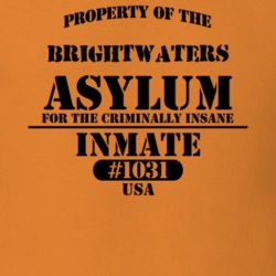 Brightwaters Suffolk County New York State Prison Insane Asylum T Shirt 5361354