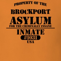 Brockport Monroe County New York State Prison Insane Asylum T Shirt 5361357