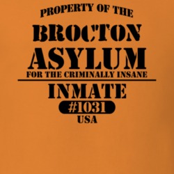 Brocton Chautauqua County New York State Prison Insane Asylum T Shirt 5361358