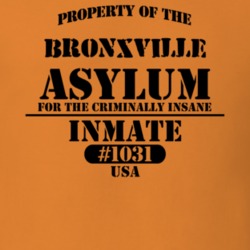 Bronxville Westchester County New York State Prison Insane Asylum T Shirt 5361359