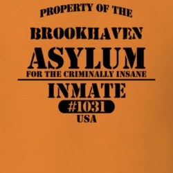 Brookhaven Suffolk County New York State Prison Insane Asylum T Shirt 5361361