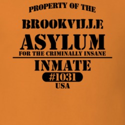 Brookville Nassau County New York State Prison Insane Asylum T Shirt 5361362