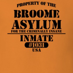 Broome Schoharie County New York State Prison Insane Asylum T Shirt 5361363