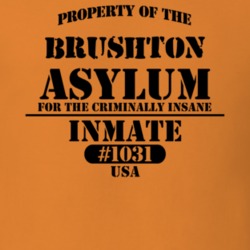 Brushton Franklin County New York State Prison Insane Asylum T Shirt 5361366