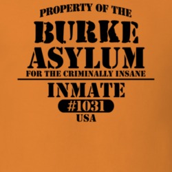 Burke Franklin County New York State Prison Insane Asylum T Shirt 5361371