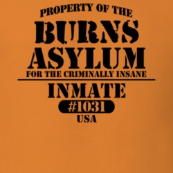 Burns Allegany County New York State Prison Insane Asylum T Shirt 5361373