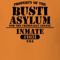 Busti Chautauqua County New York State Prison Insane Asylum T Shirt 5361374