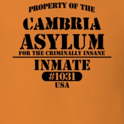 Cambria Niagara County New York State Prison Insane Asylum T Shirt 5361381