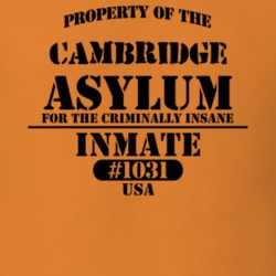 Cambridge Washington County New York State Prison Insane Asylum T Shirt 5361382