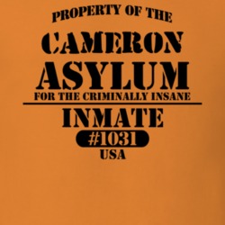 Cameron Steuben County New York State Prison Insane Asylum T Shirt 5361384